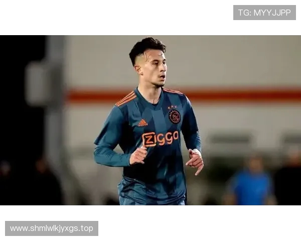 拜仁官方宣布二队主帅德米凯利斯合同终止 将前往河床担任新主帅