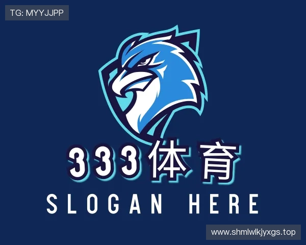 关于333体育